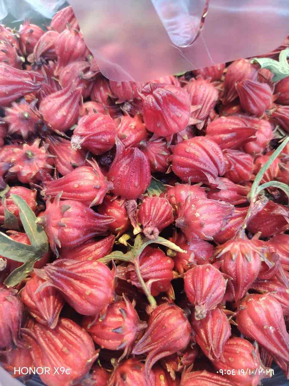 فواكه • دجاج حي • طازج