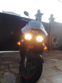 فرزه • شغال • ٠٦