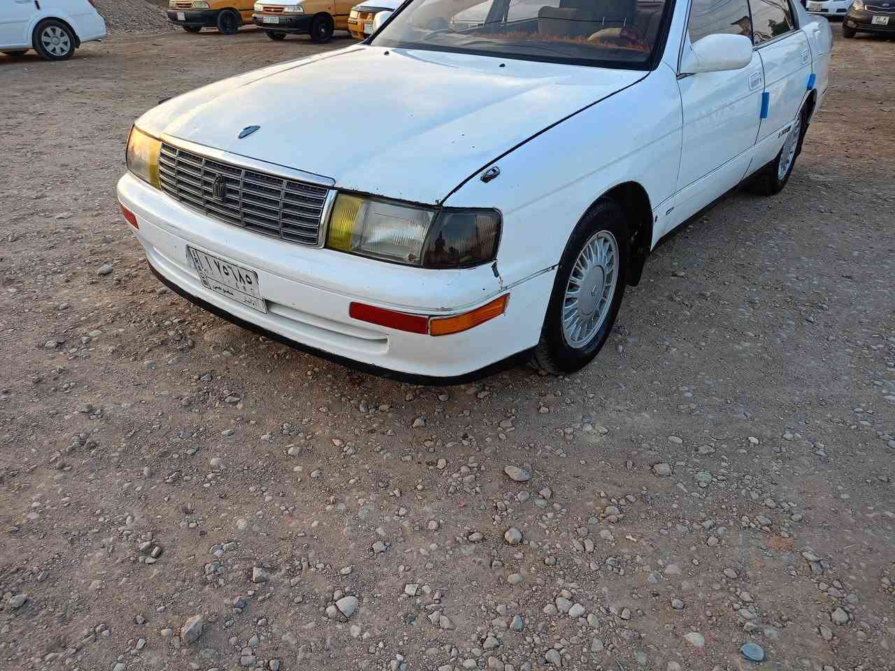 بطة • ١٩٩٢ • ورقة