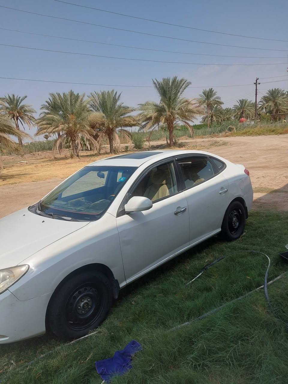 النترا • ٢٠٠٩ • صبغ حزام