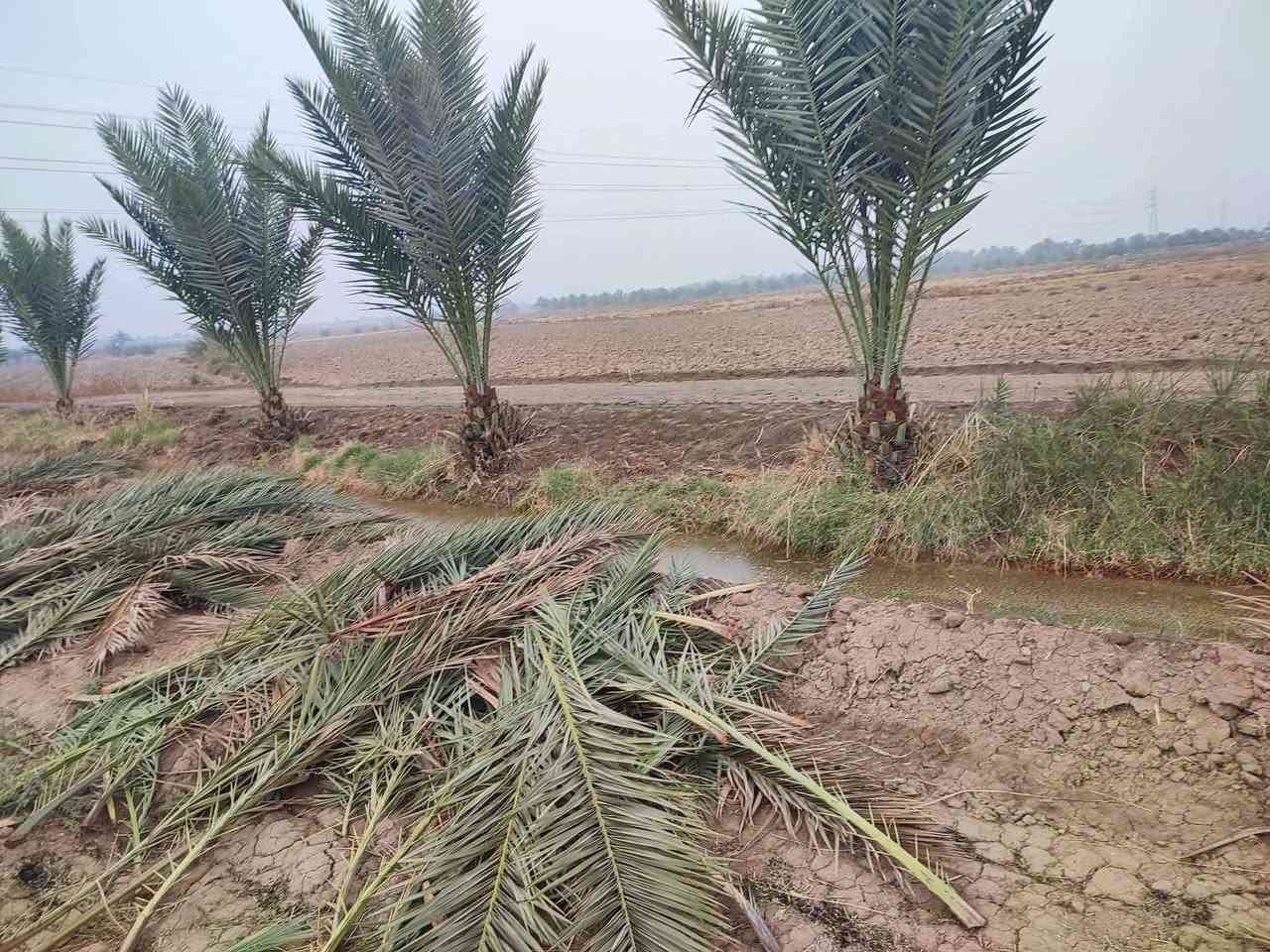 بابل طريق حله نجف • ٣٧٥٠م • طابو سند 25