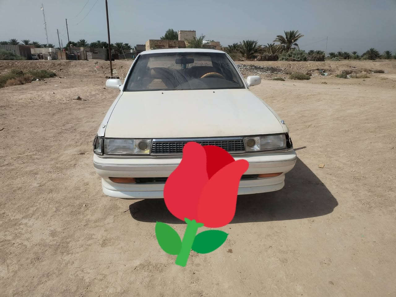 كرسته مصطره • ٩١ • رقم بصره