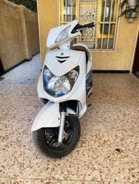 سكنس فحل