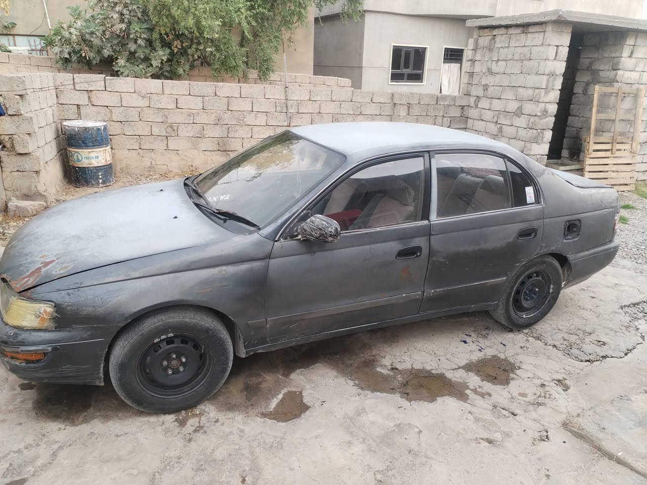 فرخ بطه للبيع كير اوتو جديد شديته محرك معمر جديد  سيارة جاهزة من كلشي بيع او مراوس حسب القناعة.
السلام عليكم 

فرخ بطه للبيع كير اوتو جديد شديته محرك معمر جديد  سيارة جاهزة من كلشي بيع او مراوس حسب القناعة. 
***********
