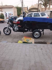 ستوته فحل • ١٥٠ • ٢٠٢٣