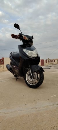 سكنس فحل • محرك شرط • لايت زينون