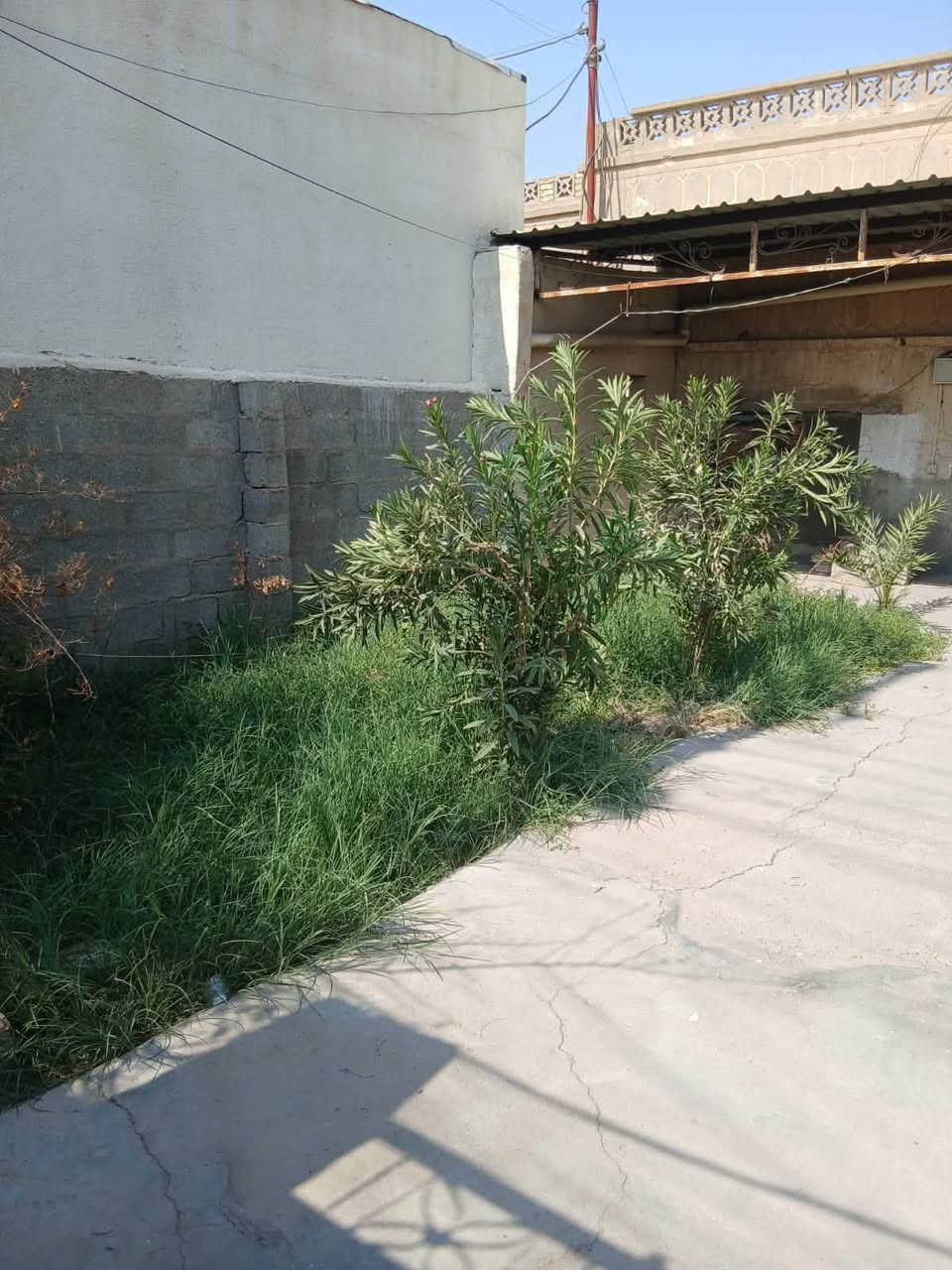 بيت ارضي • الجبيلة الشارع العام • ٢ غرف