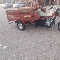 ستوته • ٢٠١٩ • أوراق كامله