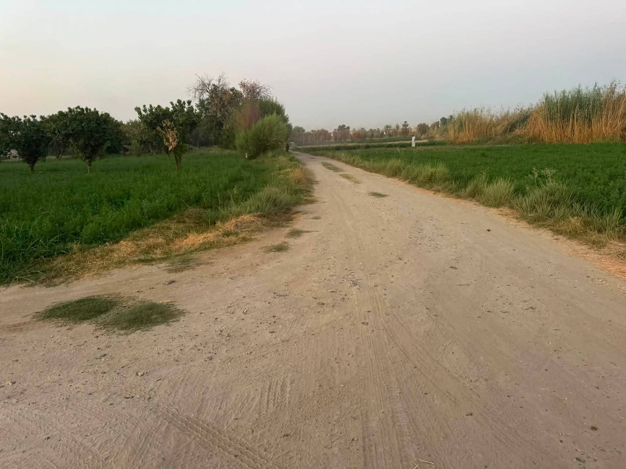 السلام عليكم دونم ونص طابو زراعي شرط التحويل على شارع الجسر الجديد عرض هذا الشارع مال الجسر 30 متر 
مزروعه بستان العام اي بعده جديد المشمش والتفاح مزرعه حلوه متكامله واصل ماء وكهرباء مكان حيل حلو
ويم الشارع مال جسر الجامعه تكريت الجديد 
الشارع محدد بلون الأصفر تريد دونم يرهم تريد دونم ونص يرهم 

الشراي يتصل ***********
