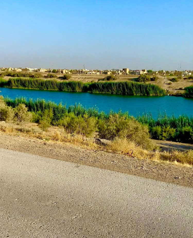 دونم طابو على ذراع نهر دجلة مباشرة بسعر 35 مليون فقط.
يتوفر 6 دونم للبيع، مع إمكانية شراء من دونم واحد 

فما فوق. 

✅ بجانب المزارع والشاليهات لأهل بغداد والكاظمية 

✅ جميع الخدمات متوفرة لكل دونم:

عامود كهرباء.

بوري ماء شرب.

ماء للسقي.

✅ مساحة كل دونم 50 × 50 متر.

✅ تبعد عن مدينة الكاظمية حوالي 15 دقيقة.

📍 العنوان: بغداد – التاجي – مجاور سبع البور – ذراع دجلة.

📞 للاتصال والاستفسار: ***********

