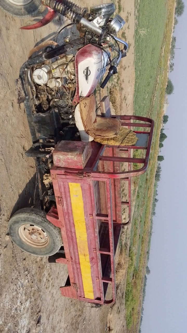 ستوته • للبيع • خاص