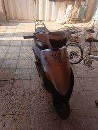 هندر • مامفتوح • شغال