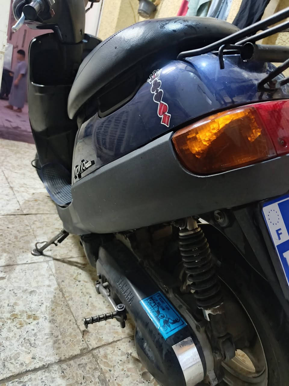 بطة • نضيفه • زنون