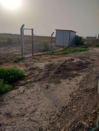 حي الحكيم • دونمين ونص • طابو زراعي