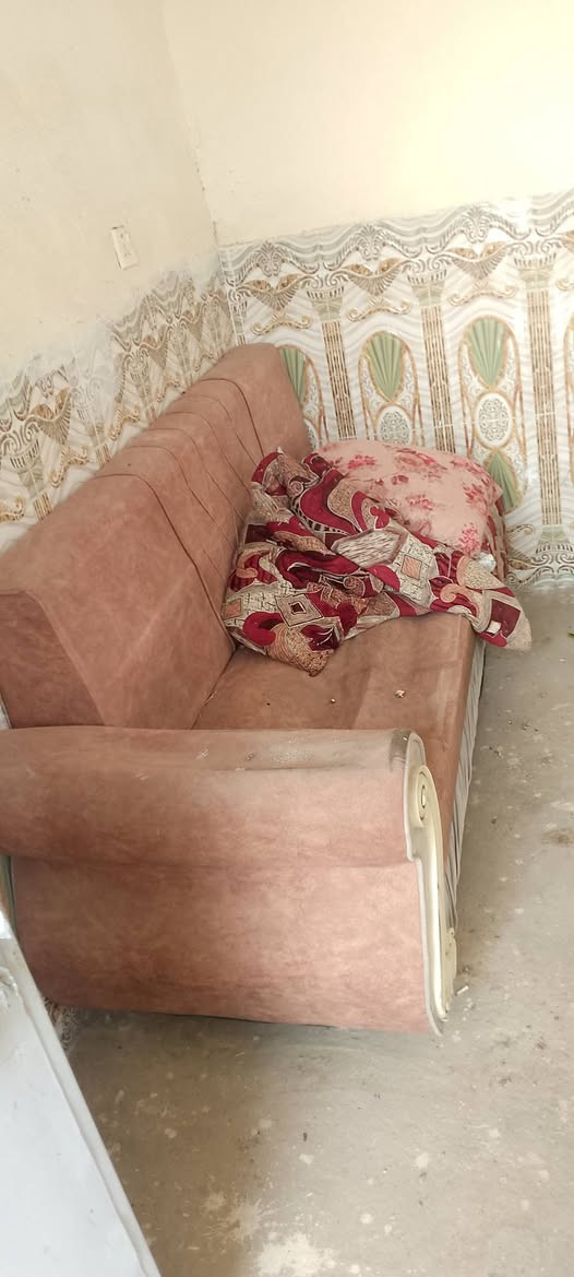 تخم • كنب