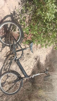 باسكل • قابل تفاوض