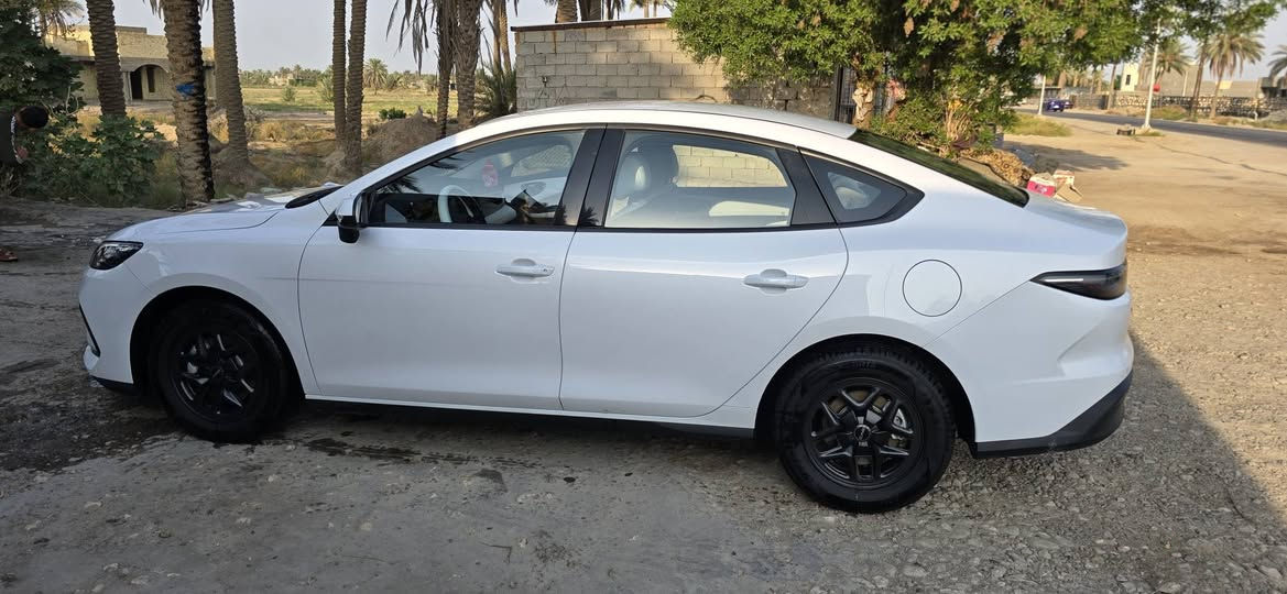 بي واي دي سيل • ٢٠٢٥ • باسمي بغداد