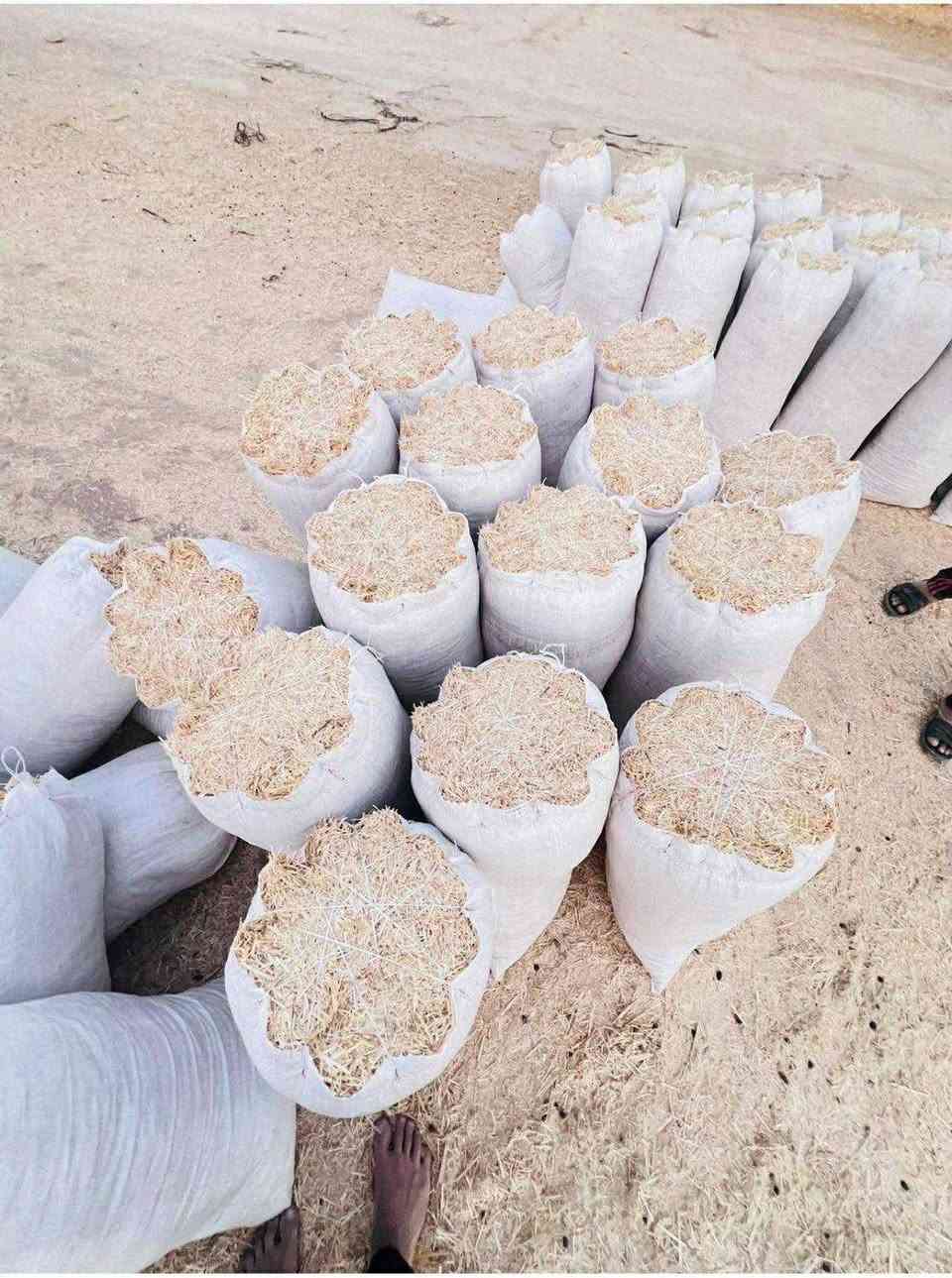 سلام عليكم احبتي الكرام يوجد تبن نضيف ستندر درجه اوله ترس فول وخيط ورده شرط علتفريغ ىبسعار مناسبه جداً واصل جميع المحافظات المذكوره في الشاشه بغداد بابل كربلاء ديوانيه سماوه واسط نجف انتصل ابيك خير ودلل على الرقم ***********   يوجد واتساب
