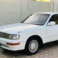 بطة • ابيض • الزبير