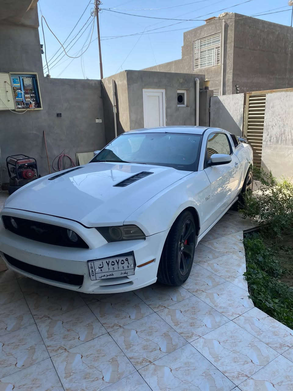 موستنك • موديل ٢٠١٣ • بابل