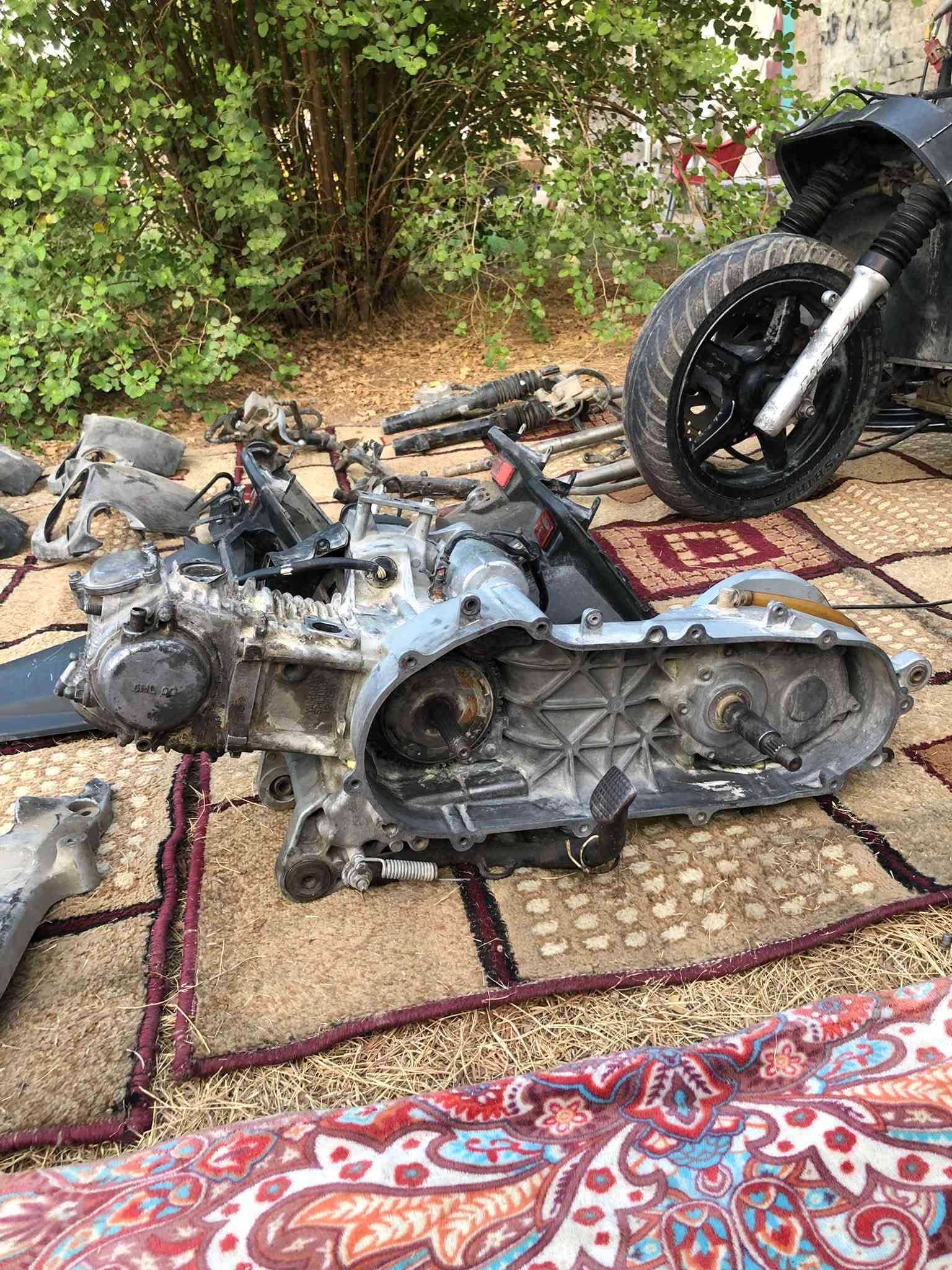 شواصي ثنين واحد مال سكنس فحل وثاني مال سكنس فحل طلاعات كاملات الاخير وغراض خير من الله شتحتاج خابرني 
ملاحظه ( غراض مال ماكس همات ) 
بغداد ألشعب ***********
