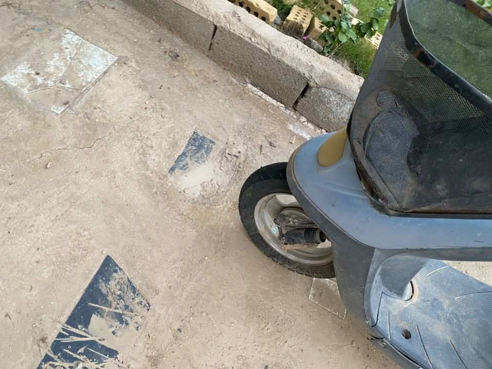 منغولي • جاهزه
