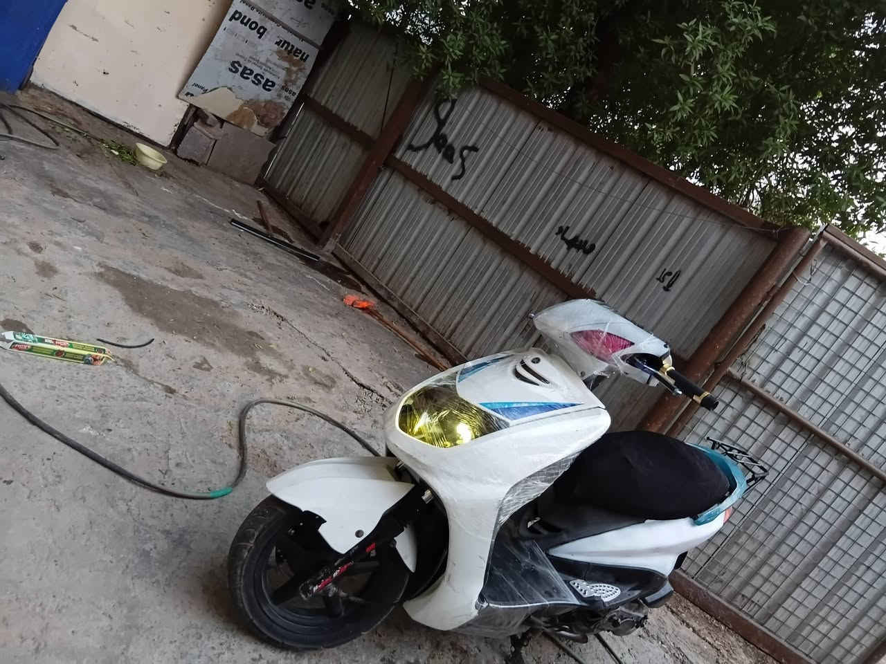 سكنس • ياباني • سلف وهندر
