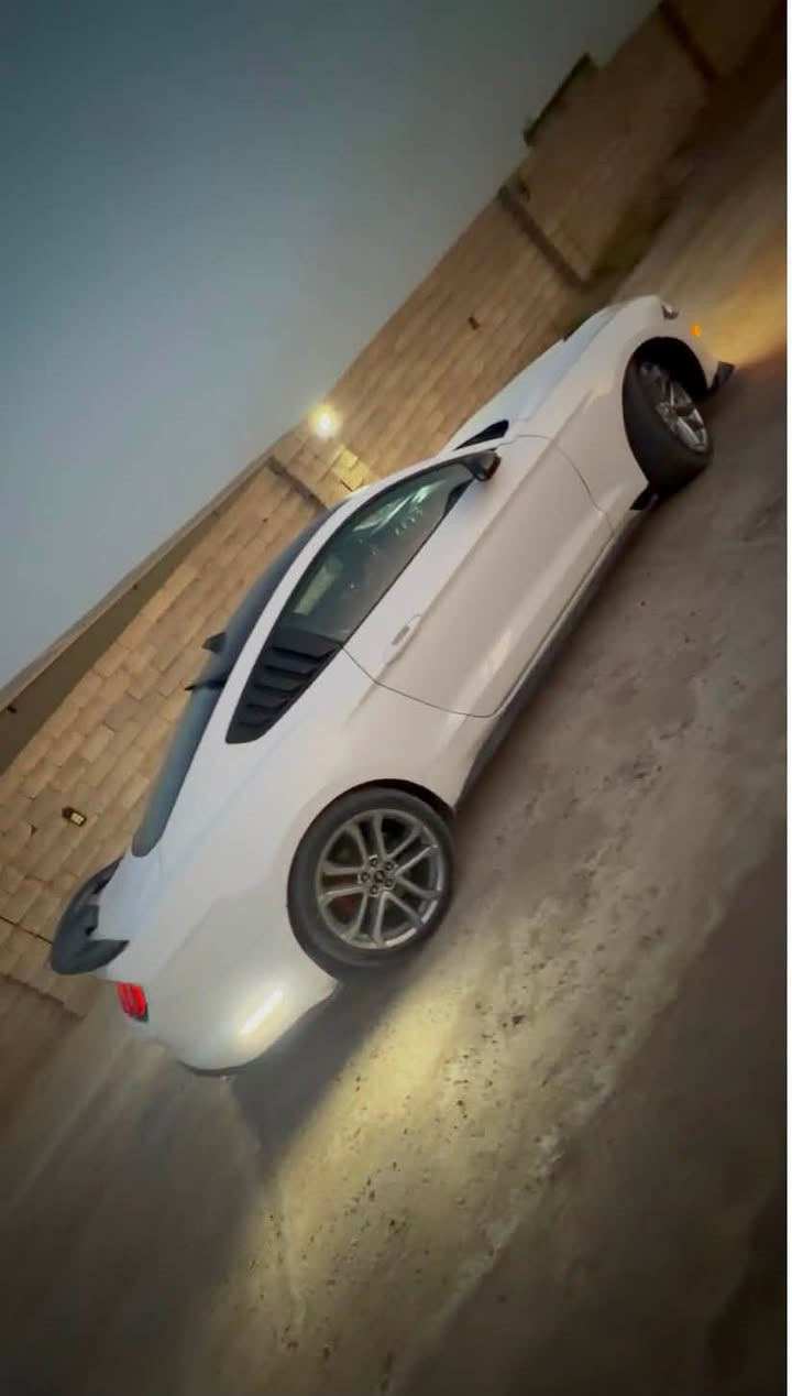 موستنك جيتي ٢٠٢٢اصل عليهه كت ارتي ار كير مكينه مكفوله ماشيه ٣٤ مكان بغداد بدون دواخل بدون شواصي  بيهه ٣قطع باب وجاملغ جهه السكن تبديل بلادي نفس الون جاملغ الخلفي بيه صبغ شبرين فقط صدر تبريد كله جديد اكتف كزوز ريمونت  رادار امامي خلفي جانبي تحديد مسارصوره الحادث بالمنشور المكان بغداد جسر ديالى   ***********
