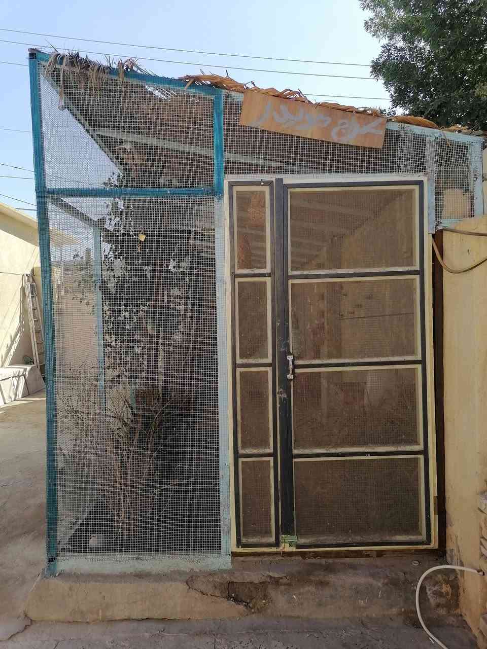 من رخصت ابو عباس
محميه للبيع جديده كلش ومصبوغه
رقمي *********** مكاني مشخاب

