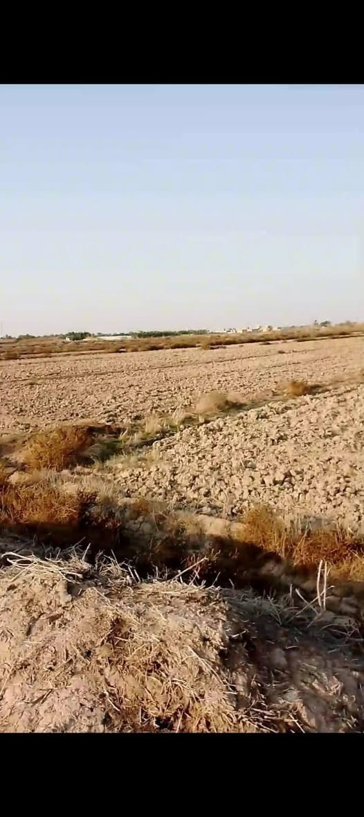 أرض زراعي • الشطرة • ١٠ دوانم