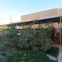 سقيفه • ١٦م • سعر مناسب