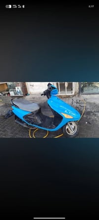 فراشة • ١٤٠ • فحل