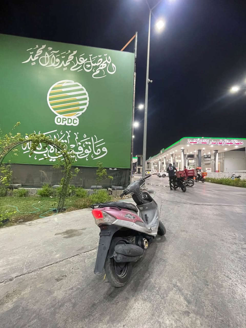 ماكس منغولي • شلعه • معدل