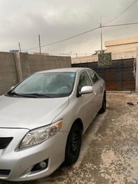 كورلا • ٢٠١٠ • كركوك