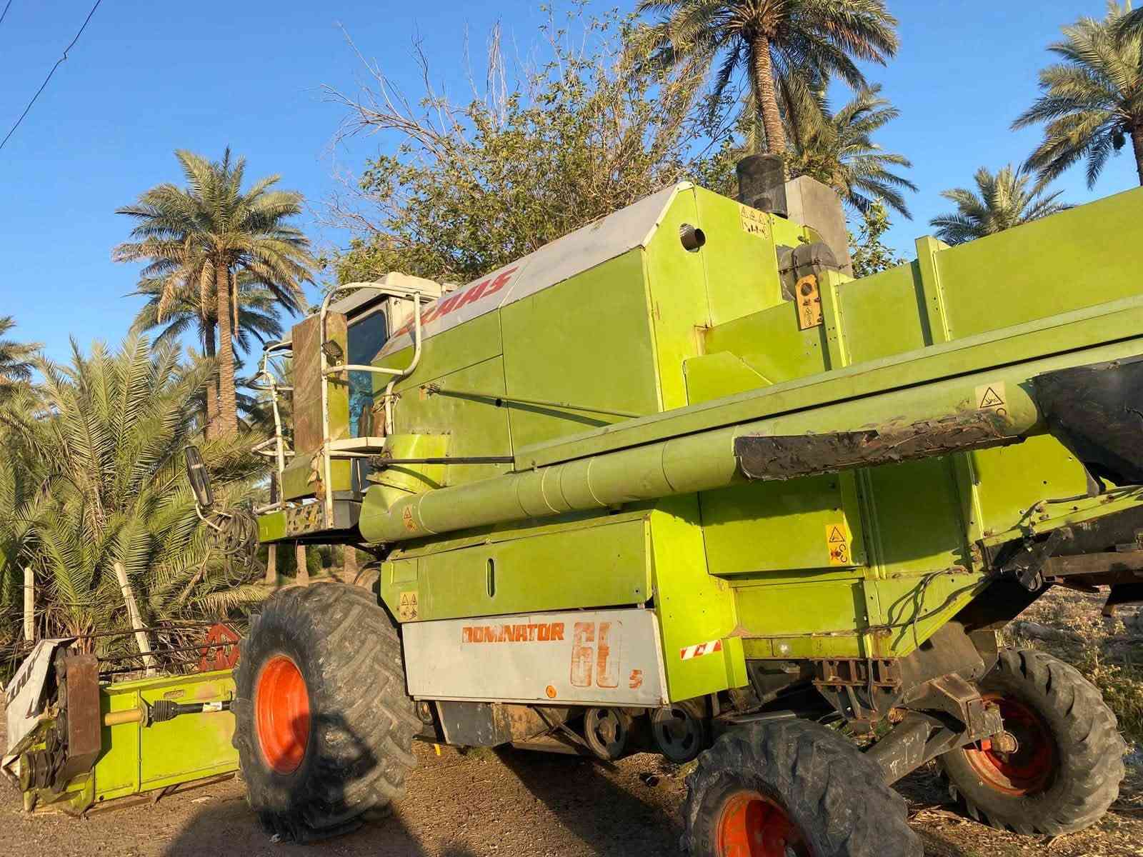 حاصودة • ٢٠٠٣ • مكفولة