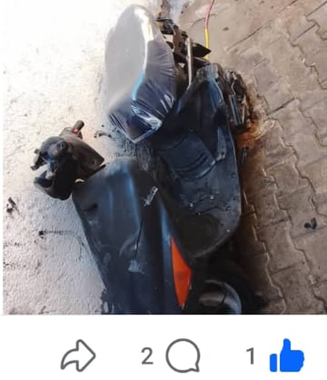 فراشه • نظيفه • خدمية
