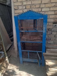 بلنشر • قفص • اطوريج