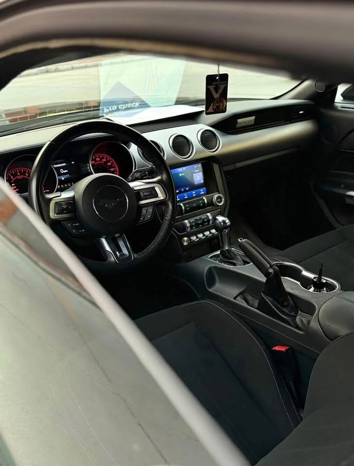 موستك GT • V8 5.0 • ضرر خلفي