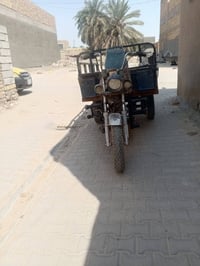 ستوته • شاصي نضيف • ٢٠٠٨