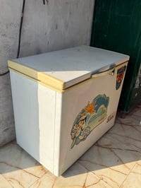 الشطره • ١٢ قدم • شرط التجميد