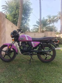 دايون • بنفسجي • ٢٠٢٣