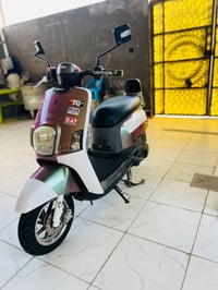 ماكس بوليسي • نوزل • كفاله