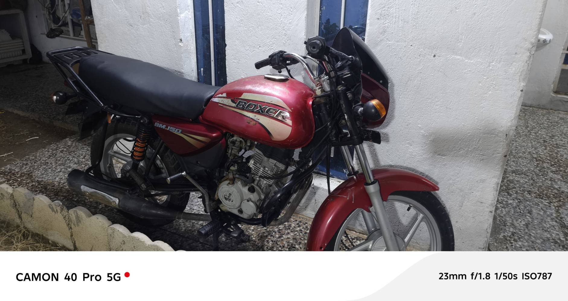 بوكسر • أصولي • شغاله