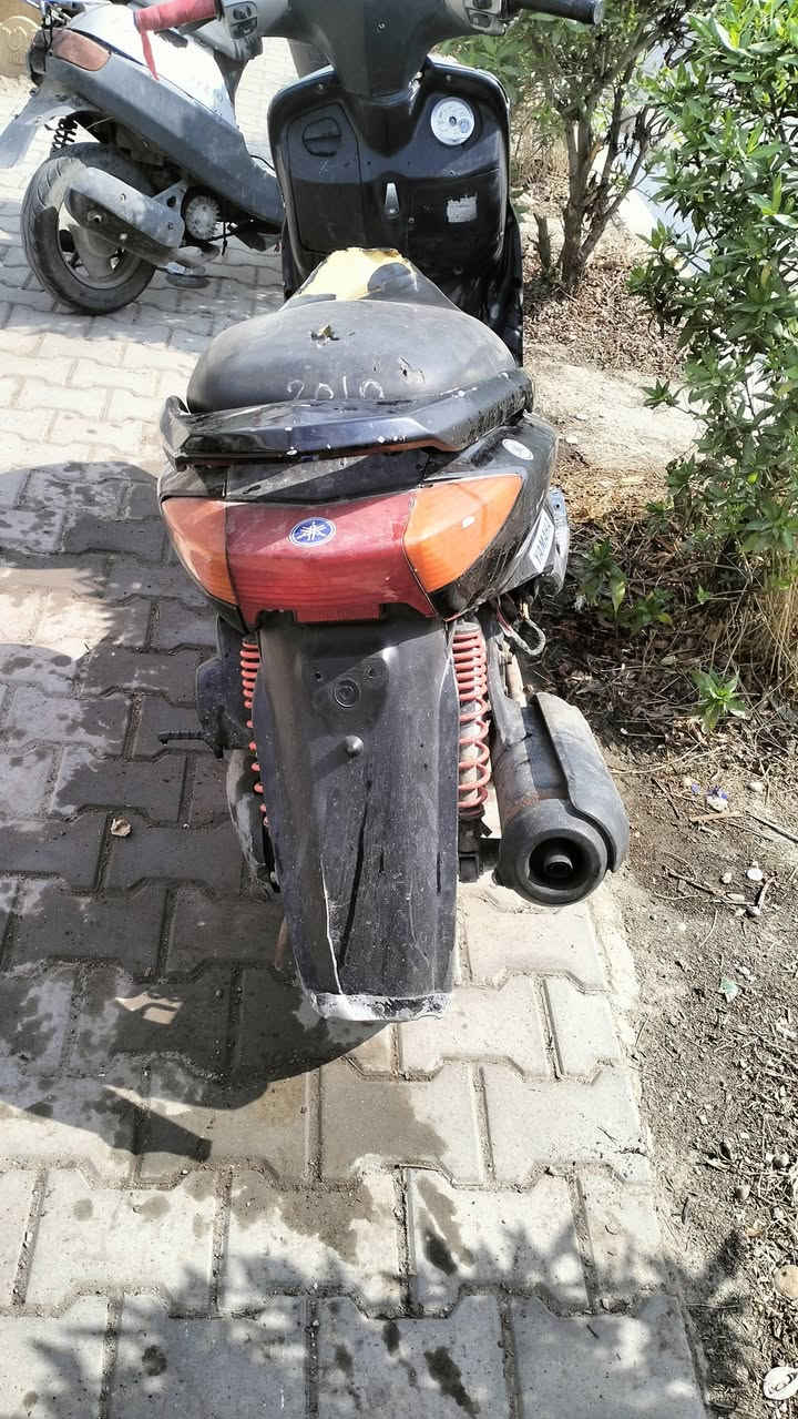 سكنس • سلف • هندر