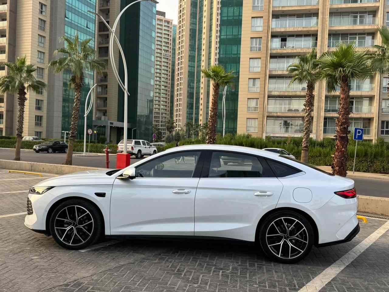 بي واي دي • كوين إل • فخامة