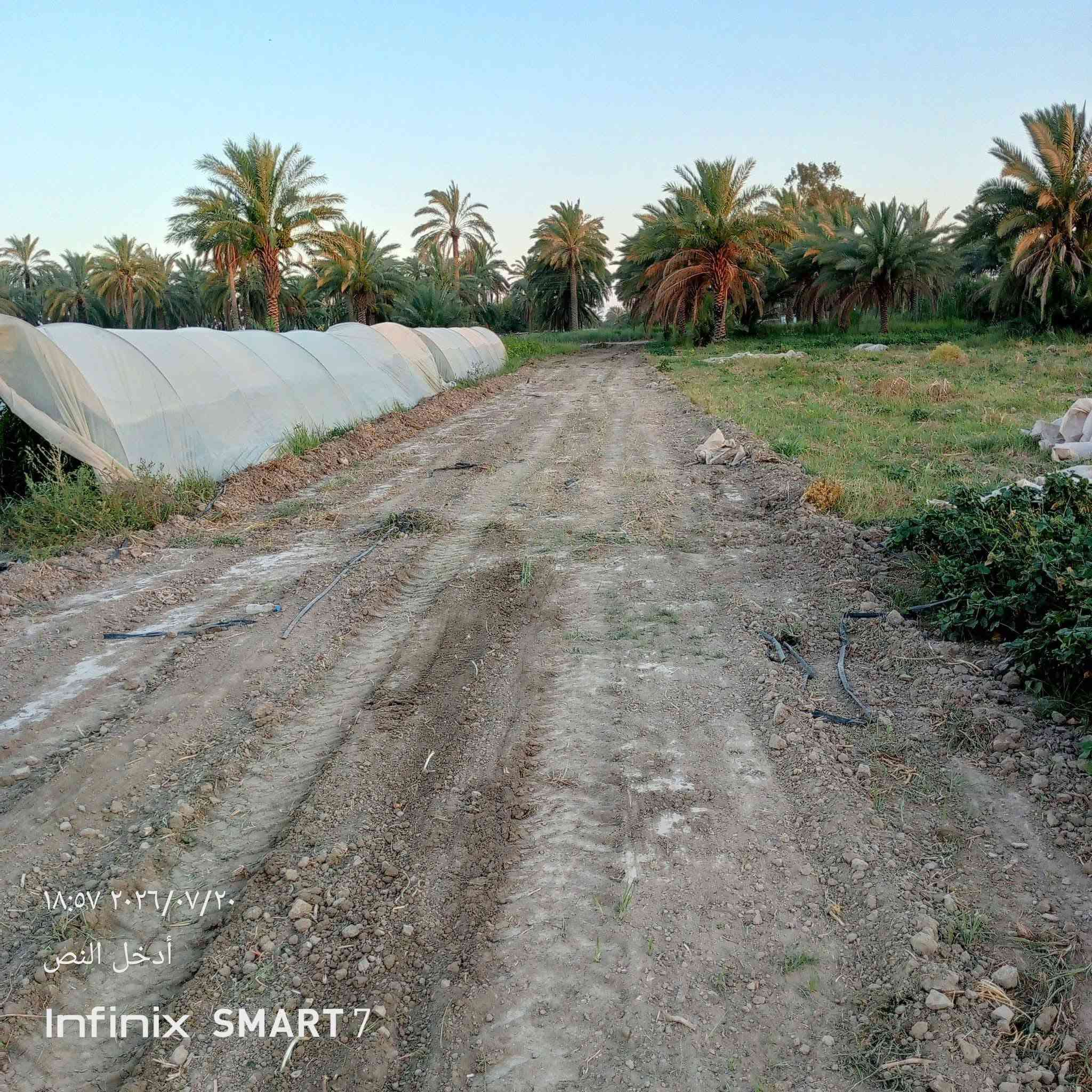 دوانم للبيع اللطيفية كيلو 18
تبعد عن جسر القامشلي 600متر خلف محطة الاسراء 
متوفر كافة الخدمات ماء سقي + ماء اساله وكهرباء وطني +سحب
واجهة الدونم الواحد 60متر ونزال 40 للاستفسار *********** ..***********
