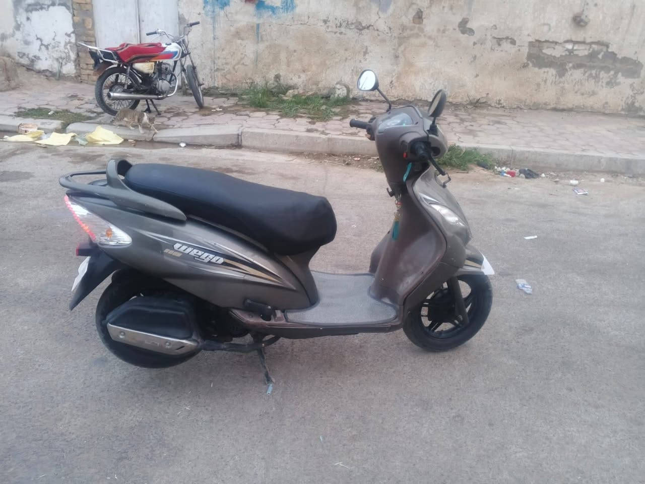 ويكو هندي • ٢٠٢١ • كفالة عامة