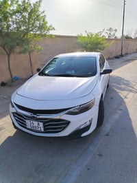 ماليبو ٢٠١٩ • وارد كندي • بنوراما