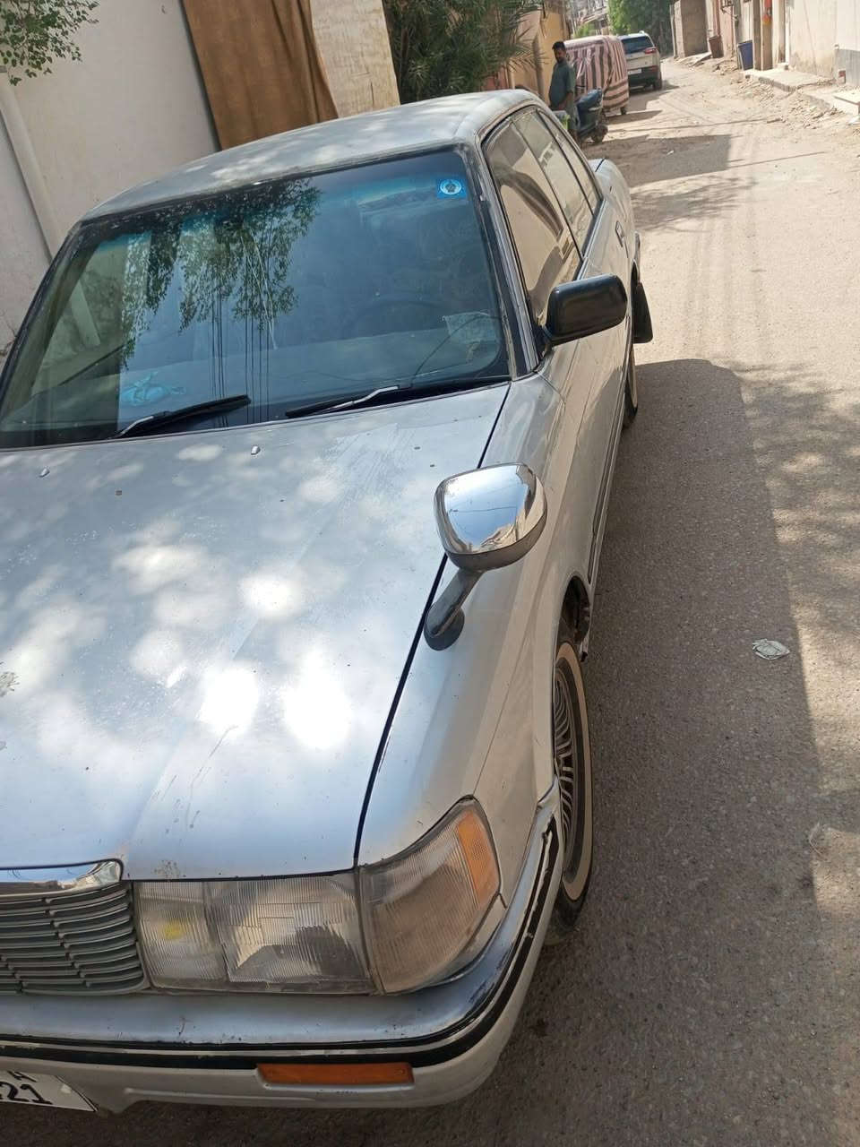 ارنب • البصرة القرنة • سمين