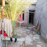 حي السجاد • ٢٠٠م • سند ٢٥ زراعي